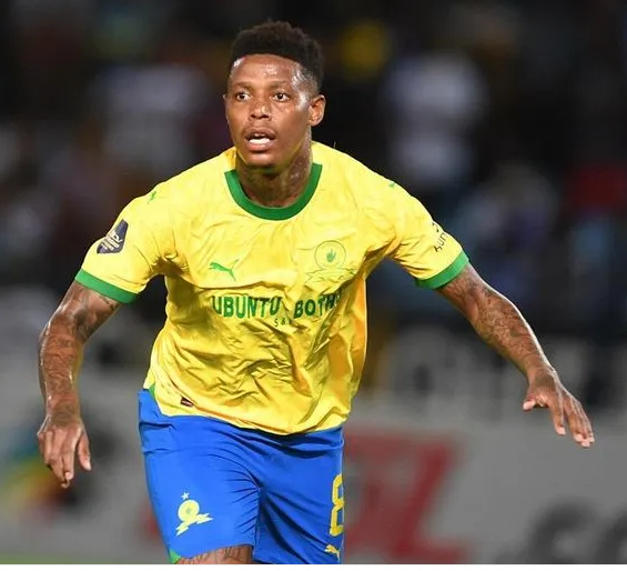 Kaizer Chiefs should sign on Zungu after leaving Sundowns